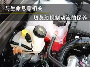 汽车多少公里换刹车油