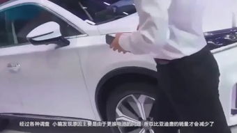 汽车换个塑料多少钱啊 汽车换个塑料多少钱啊
