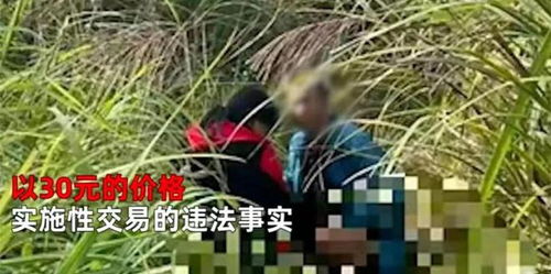 贪官收茅台让家人埋地里 上面种玉米 贪官收茅台让家人埋地里 上面种玉米