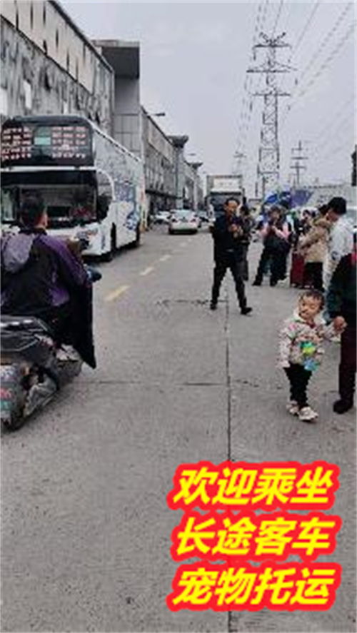华蓥至平昌汽车多少费