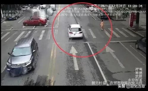 常德汽车视觉检测多少钱 常德汽车视觉检测多少钱