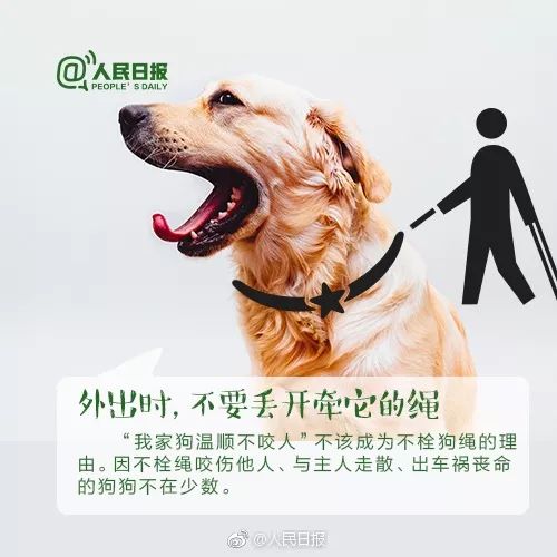 女子遛狗 狗爪夹回一颗3克重金豆 女子遛狗 狗爪夹回一颗3克重金豆