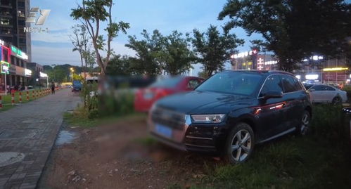 宁波汽车停草坪罚款多少 宁波汽车停草坪罚款多少