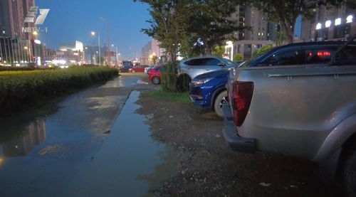 宁波汽车停草坪罚款多少 宁波汽车停草坪罚款多少