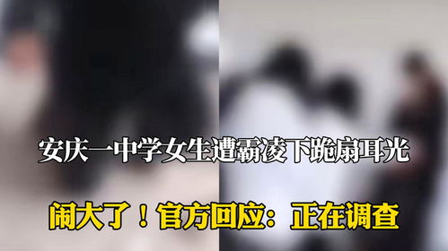 女子在埃及被酒店刁难硬气回应 女子在埃及被酒店刁难硬气回应