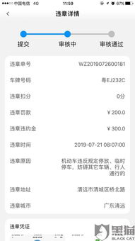 汽车违章多少天有结果呀