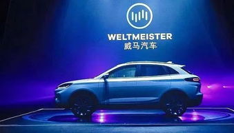 菲尔特汽车多少钱 菲尔特汽车多少钱