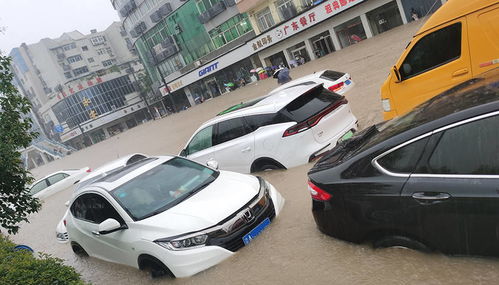 汽车隧道修复多少钱