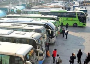 汽车站共开多少辆车 汽车站共开多少辆车