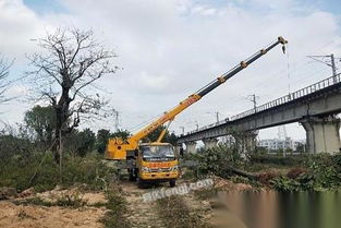 福建汽车起重机功率多少 福建汽车起重机功率多少