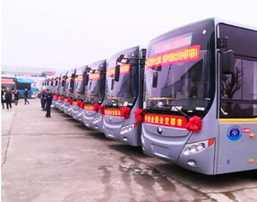开封有多少辆公交汽车 开封有多少辆公交汽车