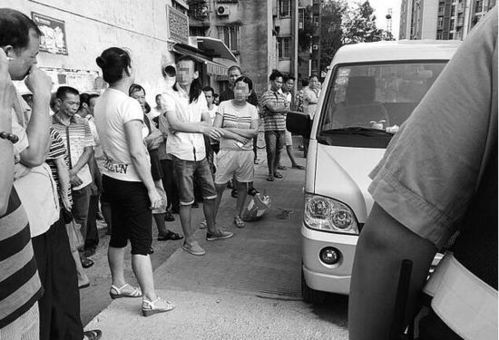 汽车压死狗赔多少 汽车压死狗赔多少