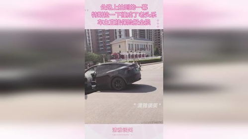 汽车全损能报多少 汽车全损能报多少