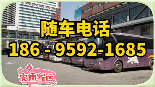 聊城到郧县汽车多少钱 聊城到郧县汽车多少钱