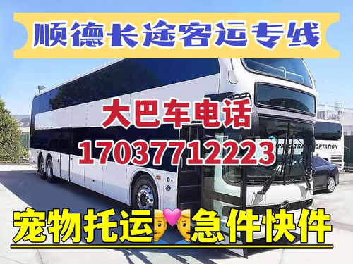 普宁到揭阳的汽车多少钱 普宁到揭阳的汽车多少钱