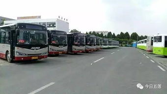 五莲汽车站小姐多少钱 五莲汽车站小姐多少钱