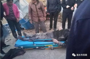 老人刚去世 孙子电话被殡葬公司打爆 老人刚去世 孙子电话被殡葬公司打爆