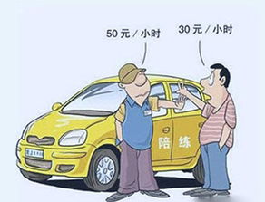 汽车陪驾多少钱 汽车陪驾多少钱