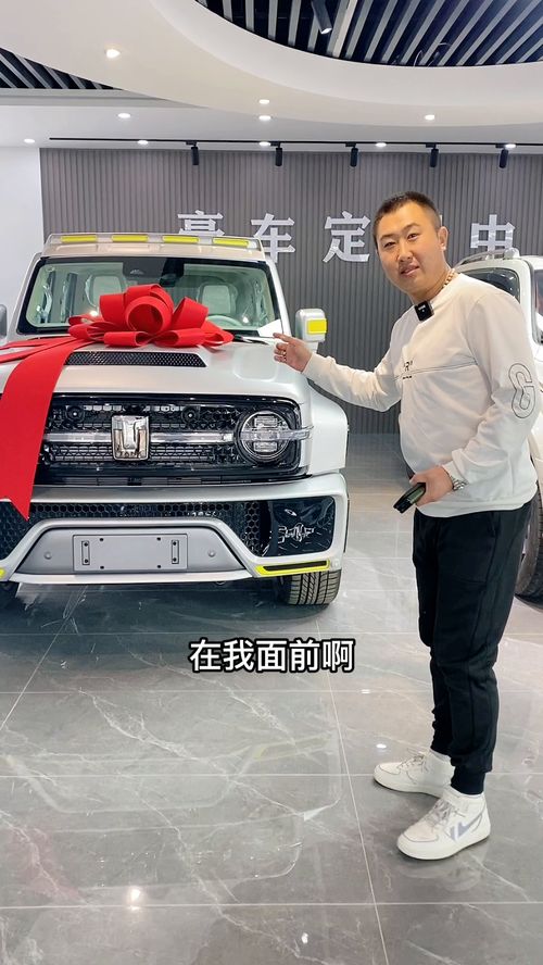 赛博汽车300加价多少 赛博汽车300加价多少