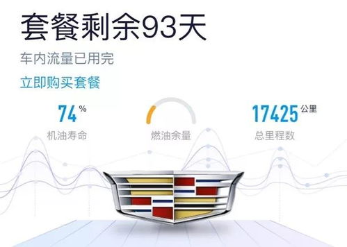 汽车还剩多少油(汽车剩余油量，关键信息的解读与应对)