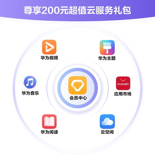 怎么看应用版本华为电脑(华为电脑应用版本深度解析，如何全面看待应用版本的重要性与优势)
