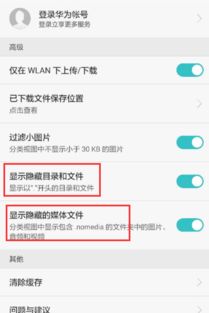 华为电脑隐藏文件怎么找(华为电脑隐藏文件深度探索,如何轻松找到隐藏的宝藏) 华为电脑隐藏文件怎么找(华为电脑隐藏文件深度探索,如何轻松找到隐藏的宝藏)