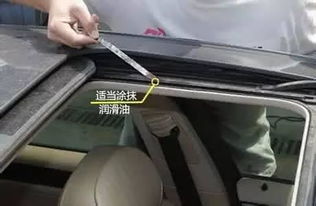汽车门板透明胶条多少钱(汽车门板透明胶条价格解析)