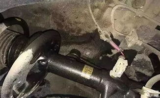 自动挡汽车减震器多少钱(自动挡汽车减震器价格解析) 自动挡汽车减震器多少钱(自动挡汽车减震器价格解析)