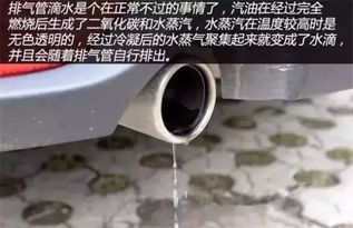 汽车排气管都黑吗多少钱(汽车排气管,颜色、维护与费用探讨) 汽车排气管都黑吗多少钱(汽车排气管,颜色、维护与费用探讨)