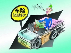 鹤岗市交汽车强险多少钱(鹤岗市汽车交强险费用详解)
