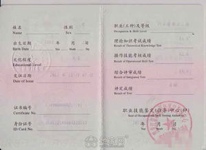 汽车技师二级证书多少钱(汽车技师二级证书的价值与费用探讨)