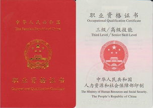 汽车技师二级证书多少钱(汽车技师二级证书的价值与费用探讨)