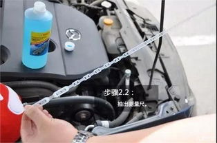 凤凰牌汽车玻璃水加多少(凤凰牌汽车玻璃水的正确加注量,操作指南与注意事项) 凤凰牌汽车玻璃水加多少(凤凰牌汽车玻璃水的正确加注量,操作指南与注意事项)