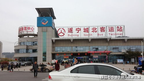 衡东汽车站咨询电话多少(衡东汽车站咨询电话一览)