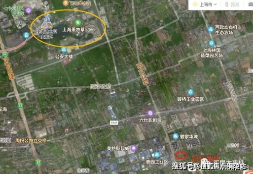 新蔡至上海汽车票多少钱(新蔡至上海汽车票价查询，深度解析票价背后的因素)