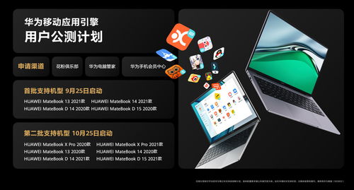 怎么用华为电脑刷抖音(华为电脑刷抖音指南，轻松上手，享受视听盛宴)
