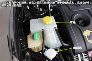 汽车换散热水箱要多少钱(汽车换散热水箱的费用分析)