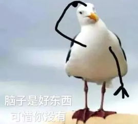 看到了现实版安小鸟(现实版安小鸟,一只触动心灵的眼睛) 看到了现实版安小鸟(现实版安小鸟,一只触动心灵的眼睛)