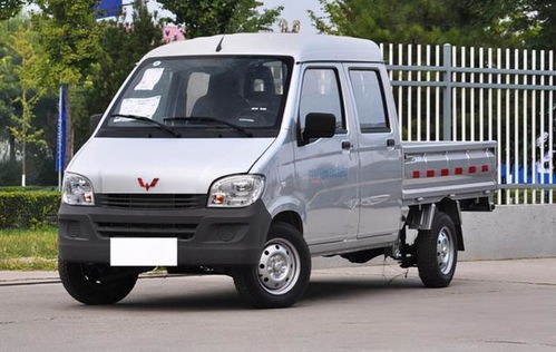 双排坐小型汽车多少钱(双排座小型汽车价格解析)