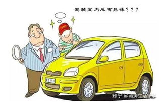 普陀区汽车除甲醛多少钱(普陀区汽车除甲醛多少钱,深度解析汽车除甲醛服务与费用) 普陀区汽车除甲醛多少钱(普陀区汽车除甲醛多少钱,深度解析汽车除甲醛服务与费用)