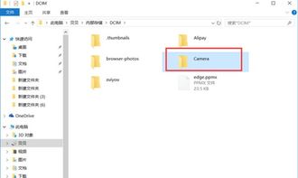 怎么看华为电脑复制记录(探究华为电脑的复制记录查看方法)