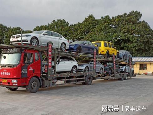汽车托运一条狗多少钱(汽车托运一条狗的费用分析) 汽车托运一条狗多少钱(汽车托运一条狗的费用分析)