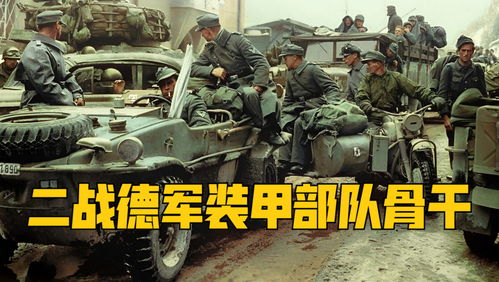 国军一个师有多少汽车(国军一个师的汽车装备数量探究) 国军一个师有多少汽车(国军一个师的汽车装备数量探究)