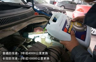 德州换汽车机油多少钱啊(德州汽车机油更换费用解析)