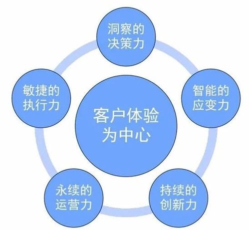 汽车支架能换吗多少钱(汽车支架更换指南，成本与流程解析)