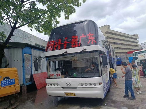 屏南新汽车站电话多少(屏南新汽车站电话大全及相关服务介绍) 屏南新汽车站电话多少(屏南新汽车站电话大全及相关服务介绍)
