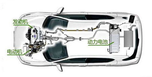 浙江小汽车电暖风多少钱(浙江小汽车电暖风价格解析)