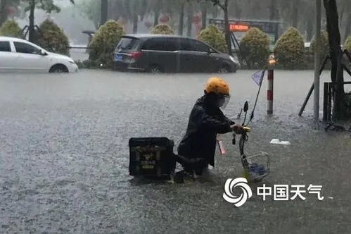 #亲历者视角下的南方暴雨#亲历者视角下的南方暴雨) #亲历者视角下的南方暴雨#亲历者视角下的南方暴雨)