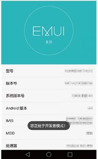 华为电脑怎么跳过连网(华为电脑如何跳过连网设置)