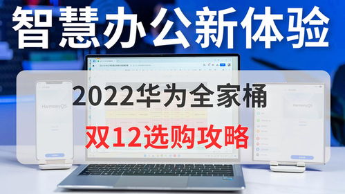 学生买华为电脑怎么选(学生如何选购华为电脑，选购策略与注意事项)